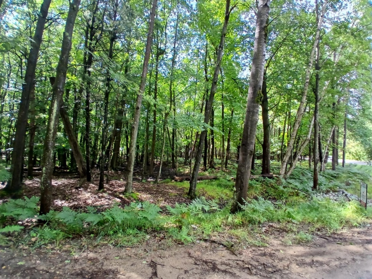 4756 N Ridge Road Property Photo 4