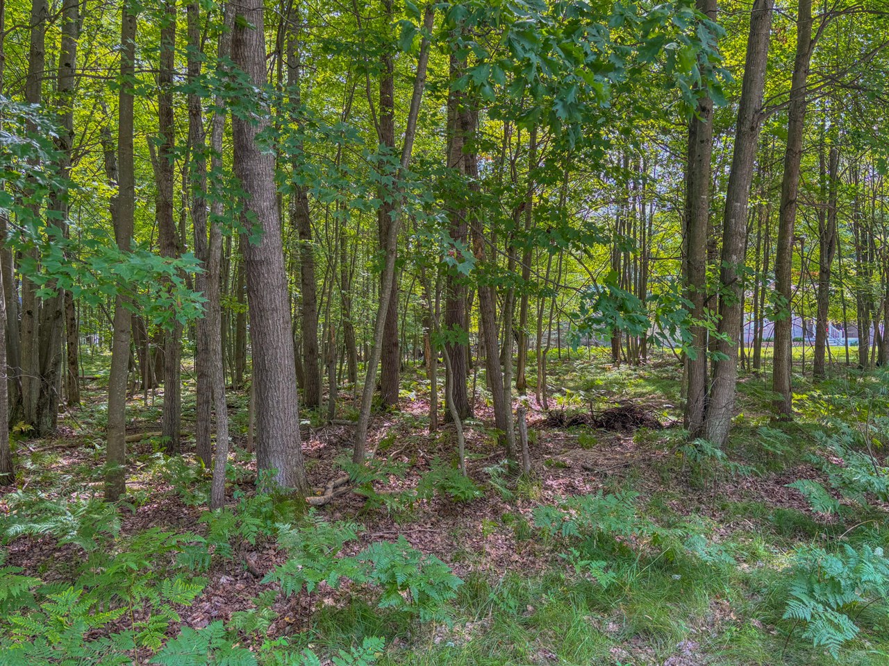 9385 Clubhouse Drive Property Photo 4