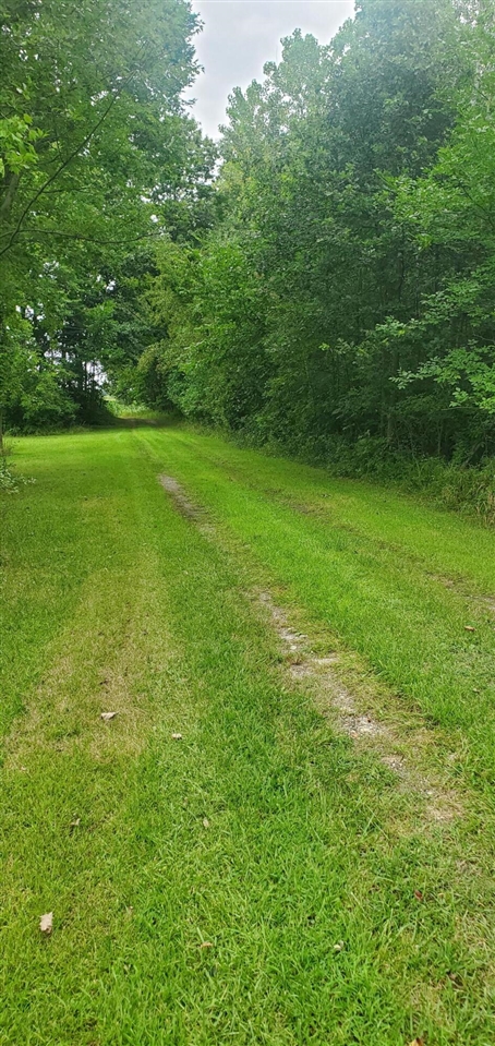 W Warren Woods Road Property Photo 7