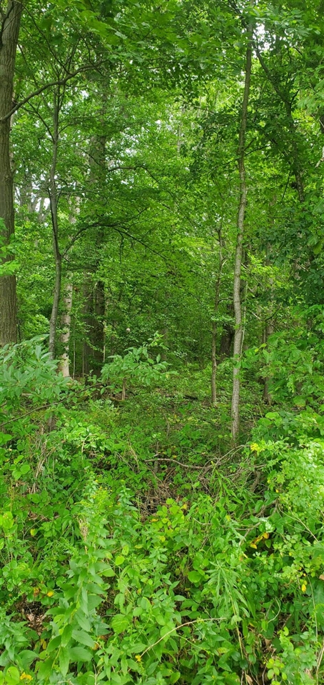 W Warren Woods Road Property Photo 11