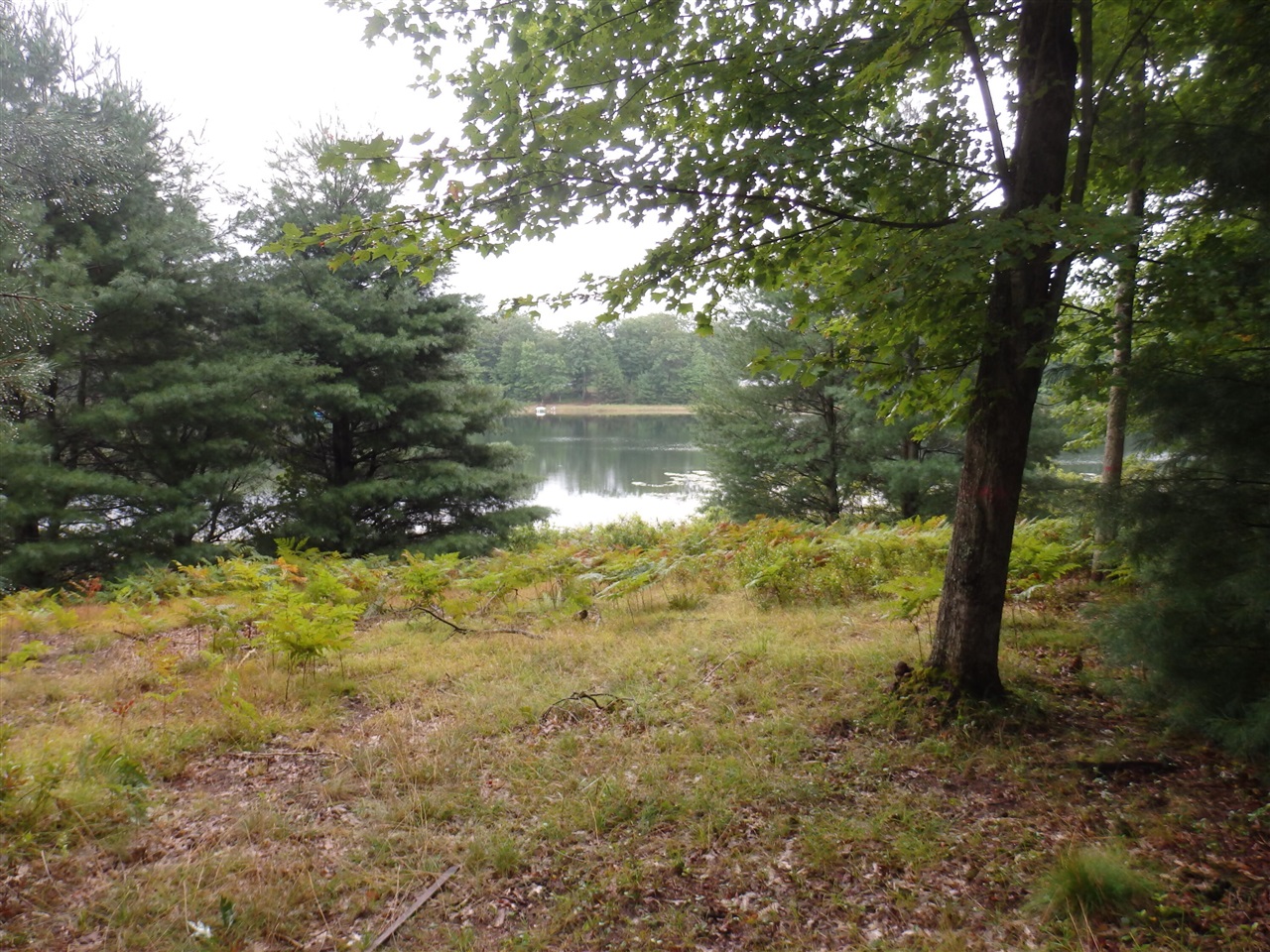 Shingle Mill Way Property Photo 1