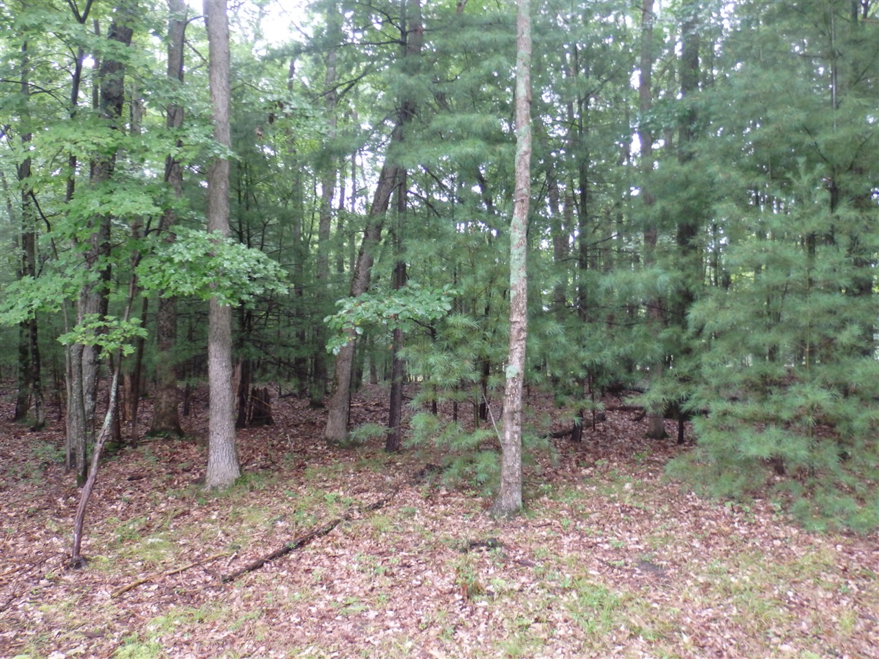 Shingle Mill Way Property Photo 3