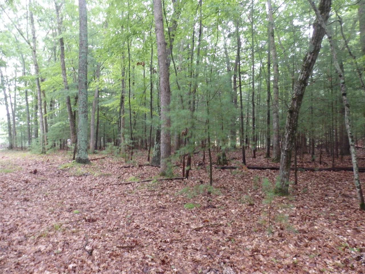Shingle Mill Way Property Photo 5