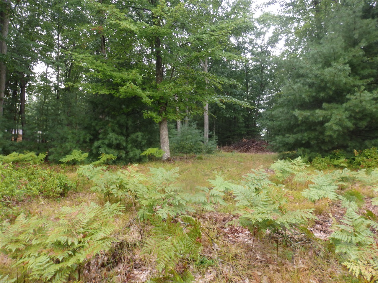 Shingle Mill Way Property Photo 7