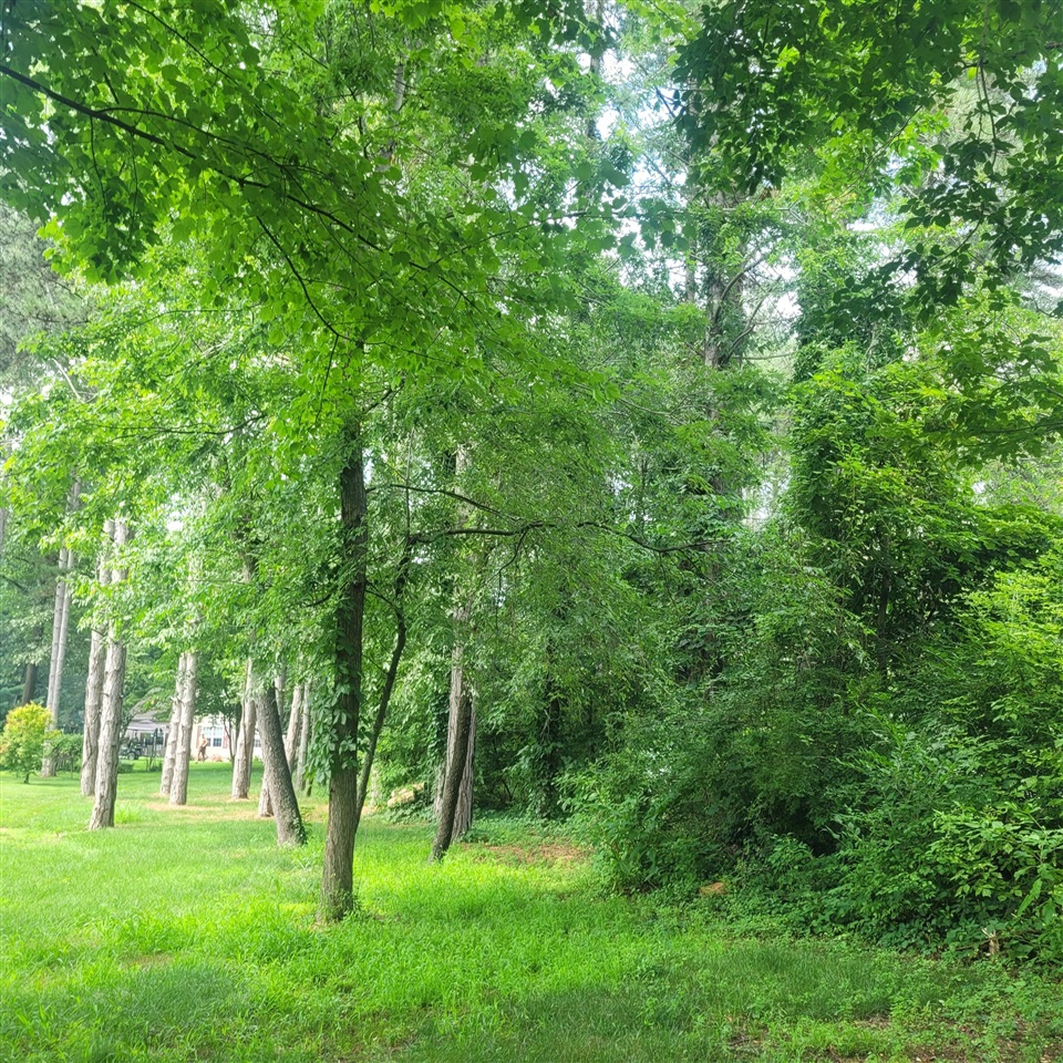 11348 Oakwood Drive Property Photo 1