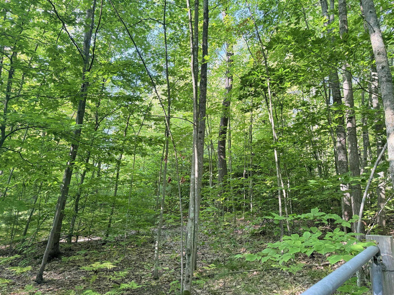 Vl 3 Mile Road Property Photo 2