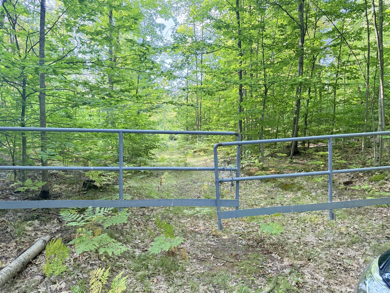 Vl 3 Mile Road Property Photo 3