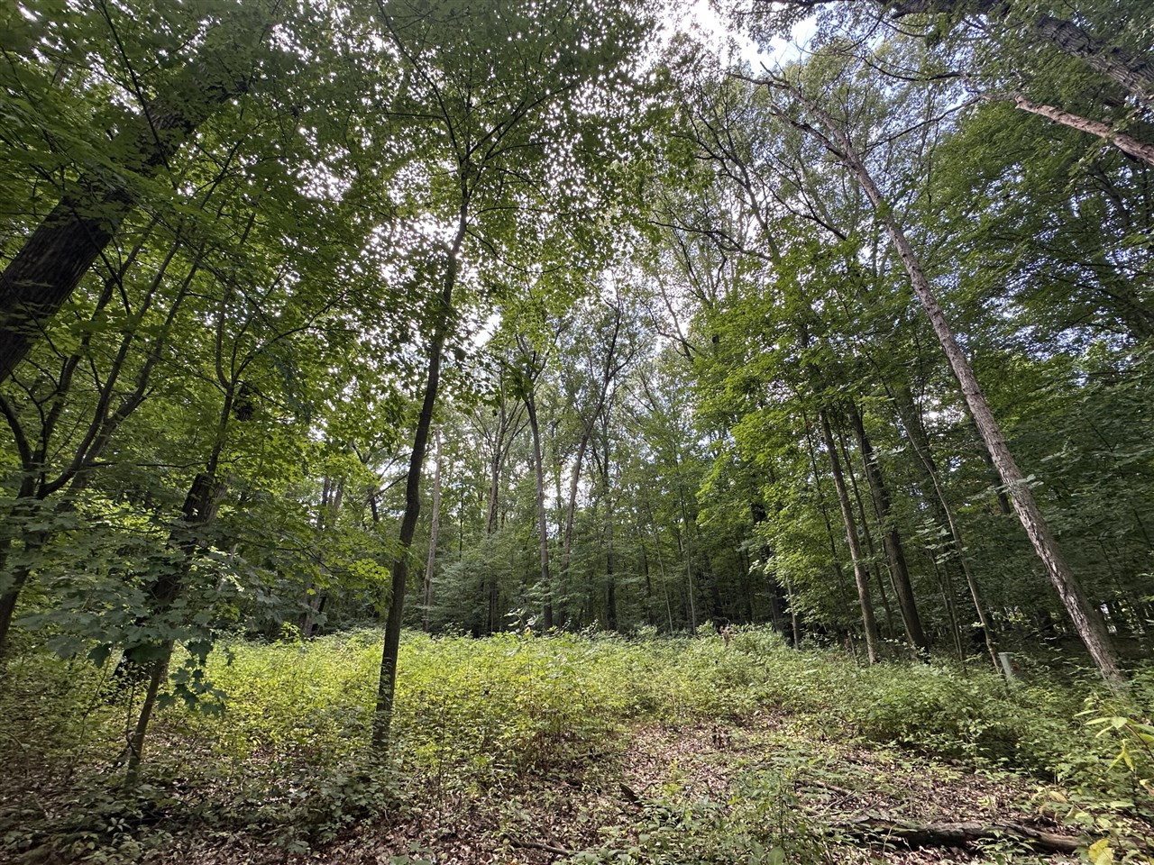 4540 Ross Drive Property Photo 1