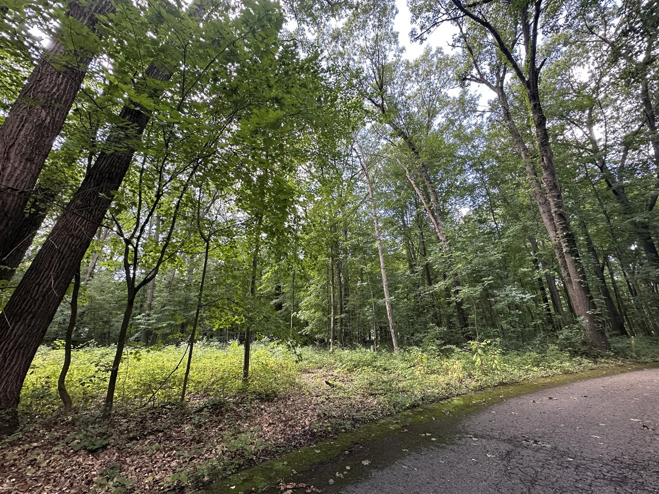 4540 Ross Drive Property Photo 4