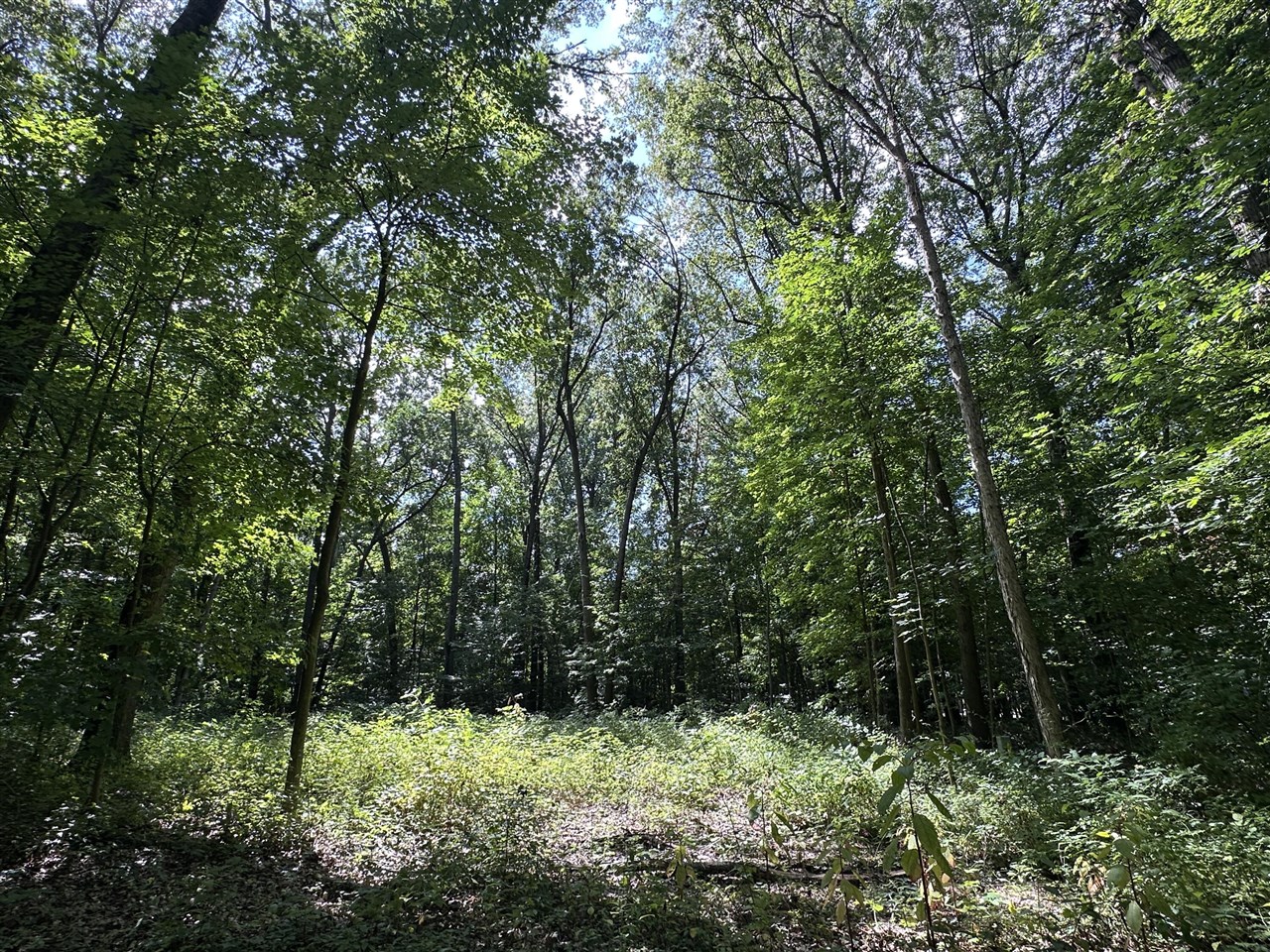 4540 Ross Drive Property Photo 7