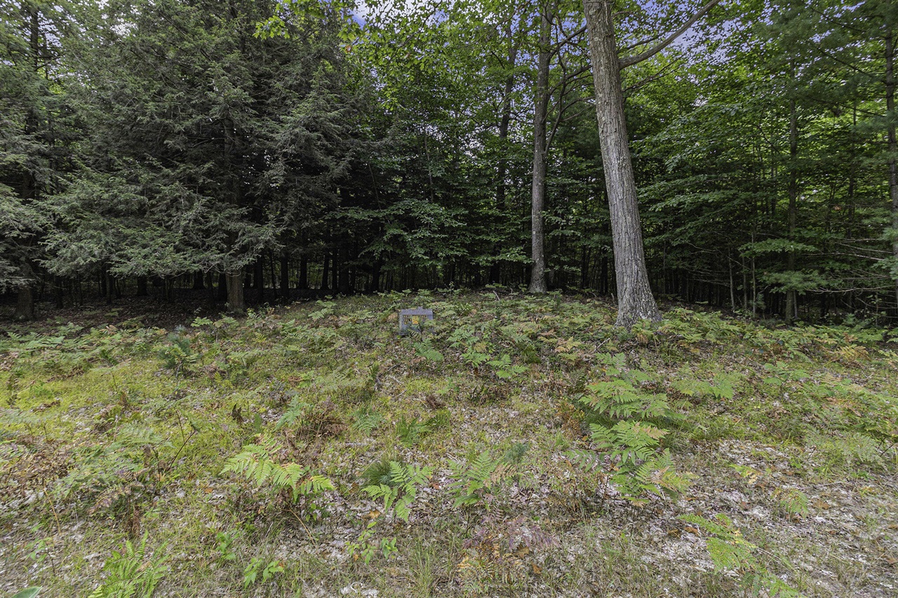 Lot 17 Pine Street Property Photo 6