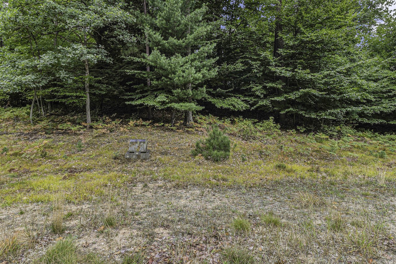 Lot 17 Pine Street Property Photo 8