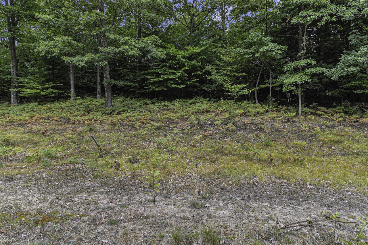 Lot 17 Pine Street Property Photo 9