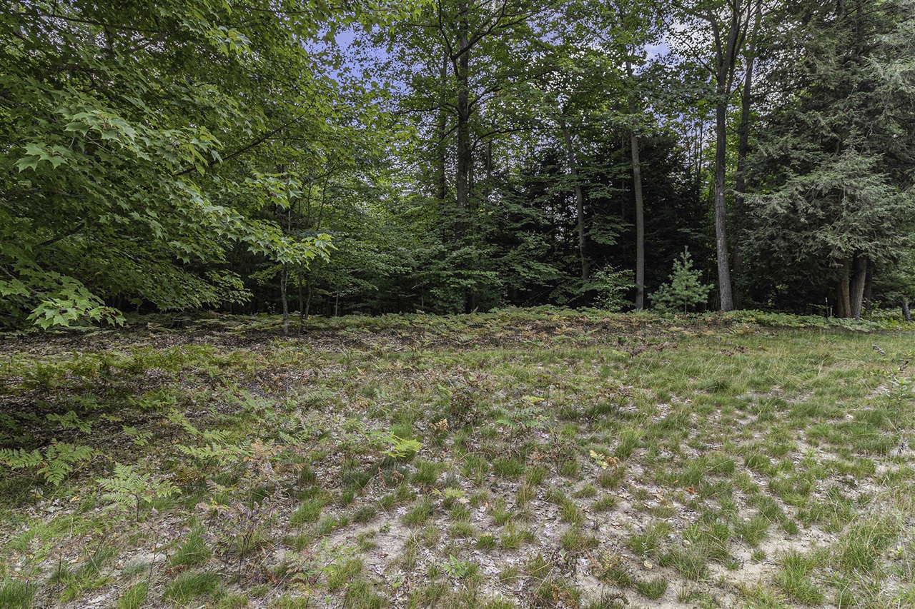 Lot 17 Pine Street Property Photo 10