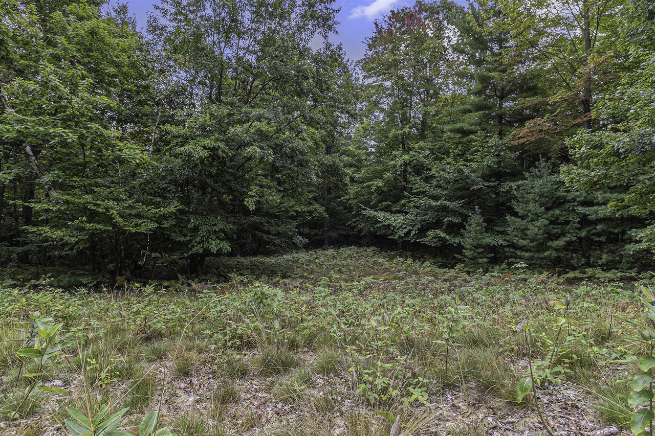 Lot 17 Pine Street Property Photo 12