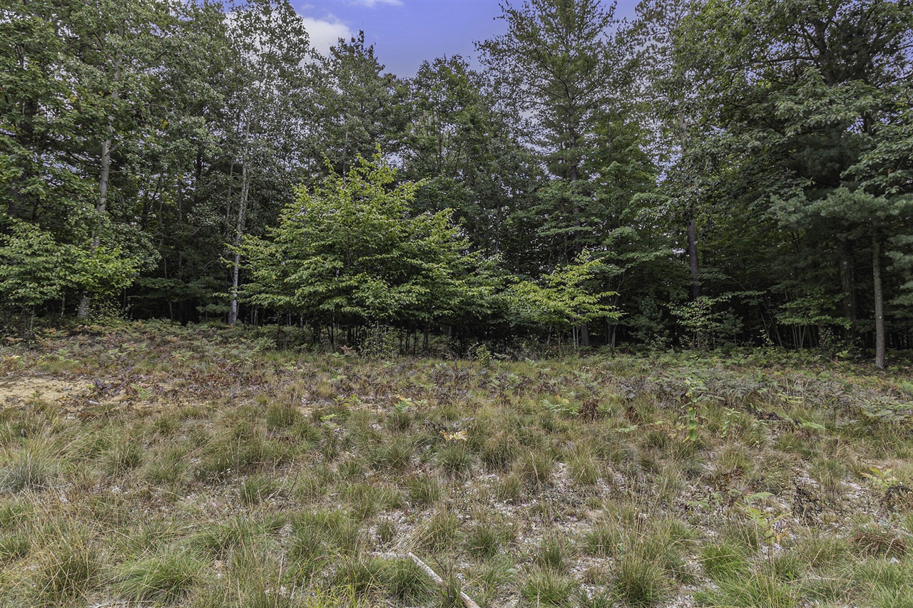 Lot 17 Pine Street Property Photo 13