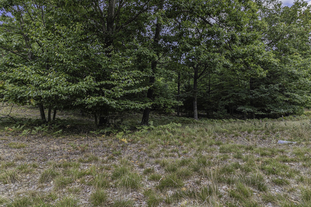 Lot 17 Pine Street Property Photo 15