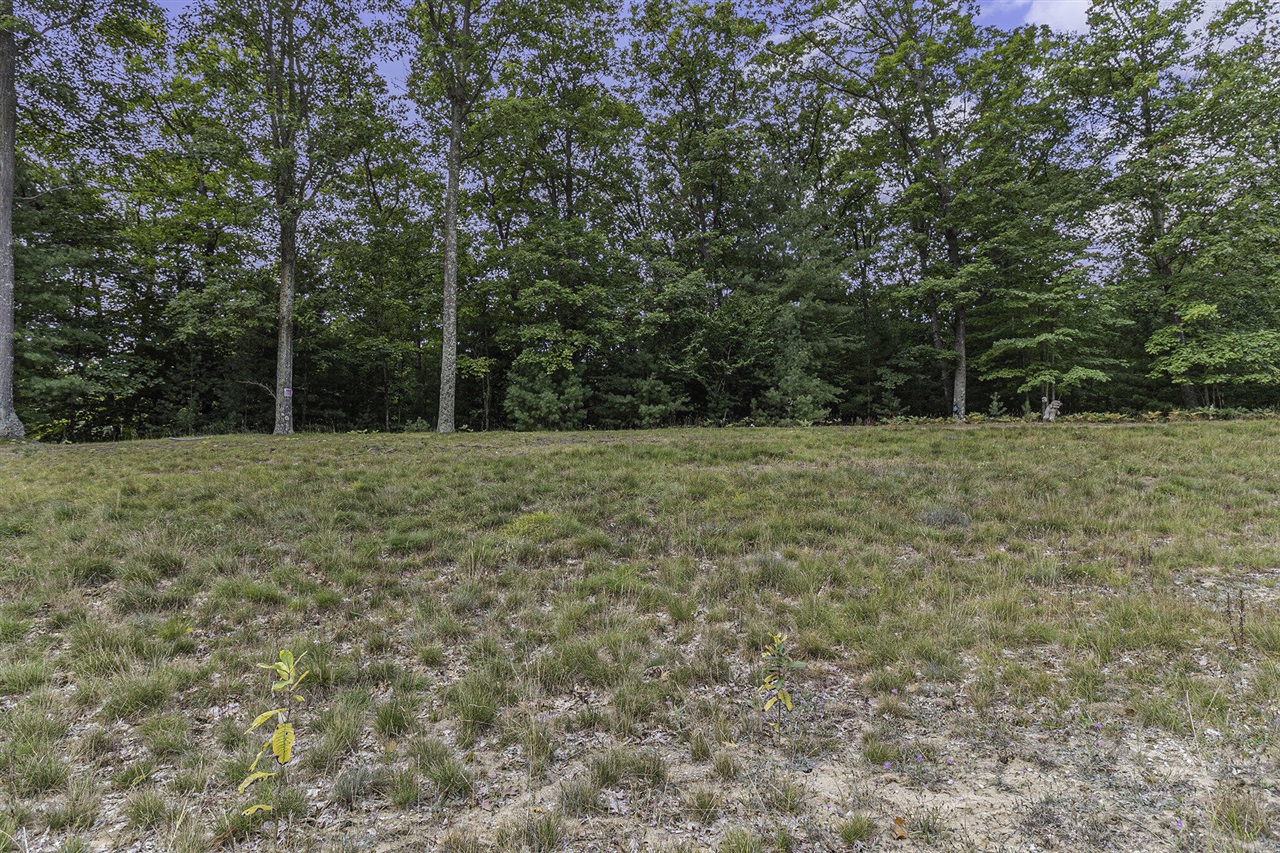 Lot 17 Pine Street Property Photo 16