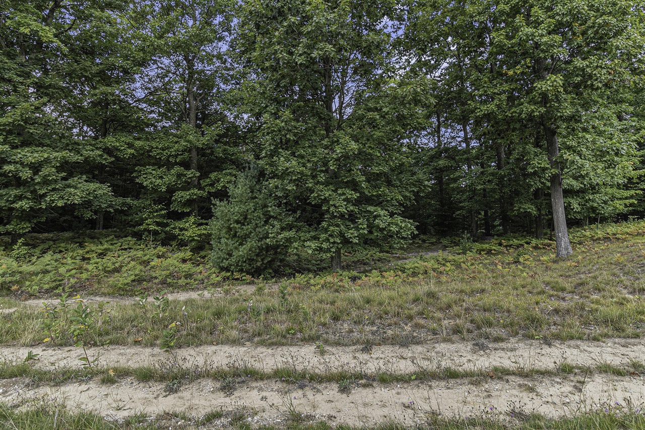 Lot 17 Pine Street Property Photo 17