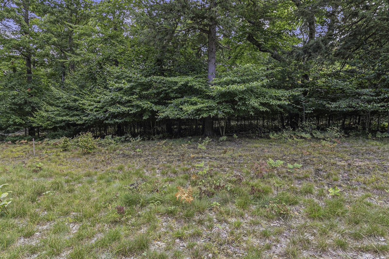 Lot 17 Pine Street Property Photo 19