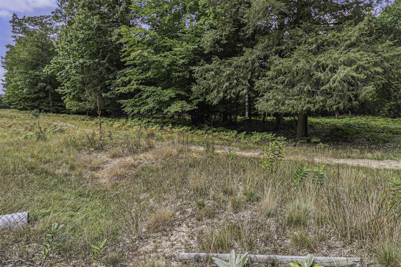 Lot 17 Pine Street Property Photo 21