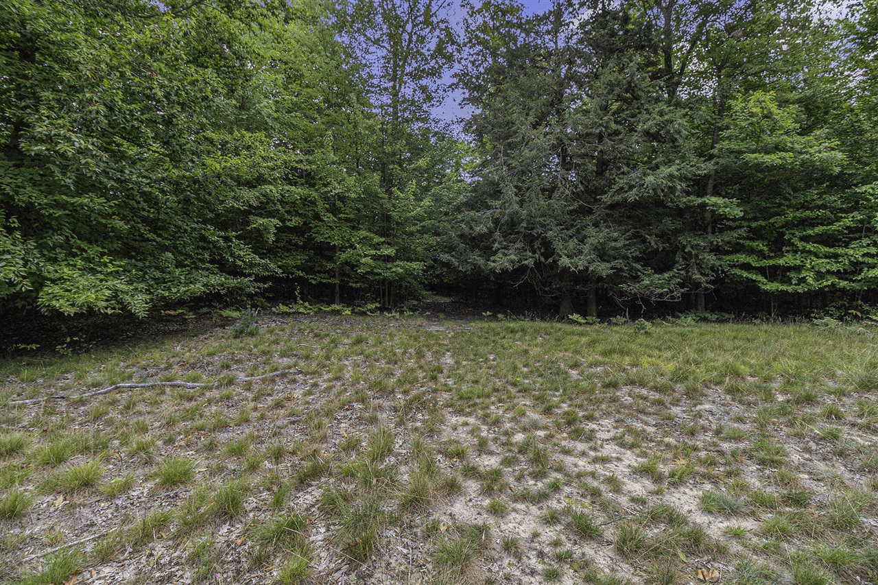 Lot 17 Pine Street Property Photo 22