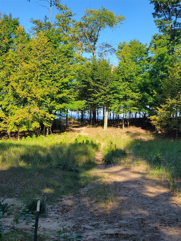 Lot 8 Lakeshore Road Property Photo 14