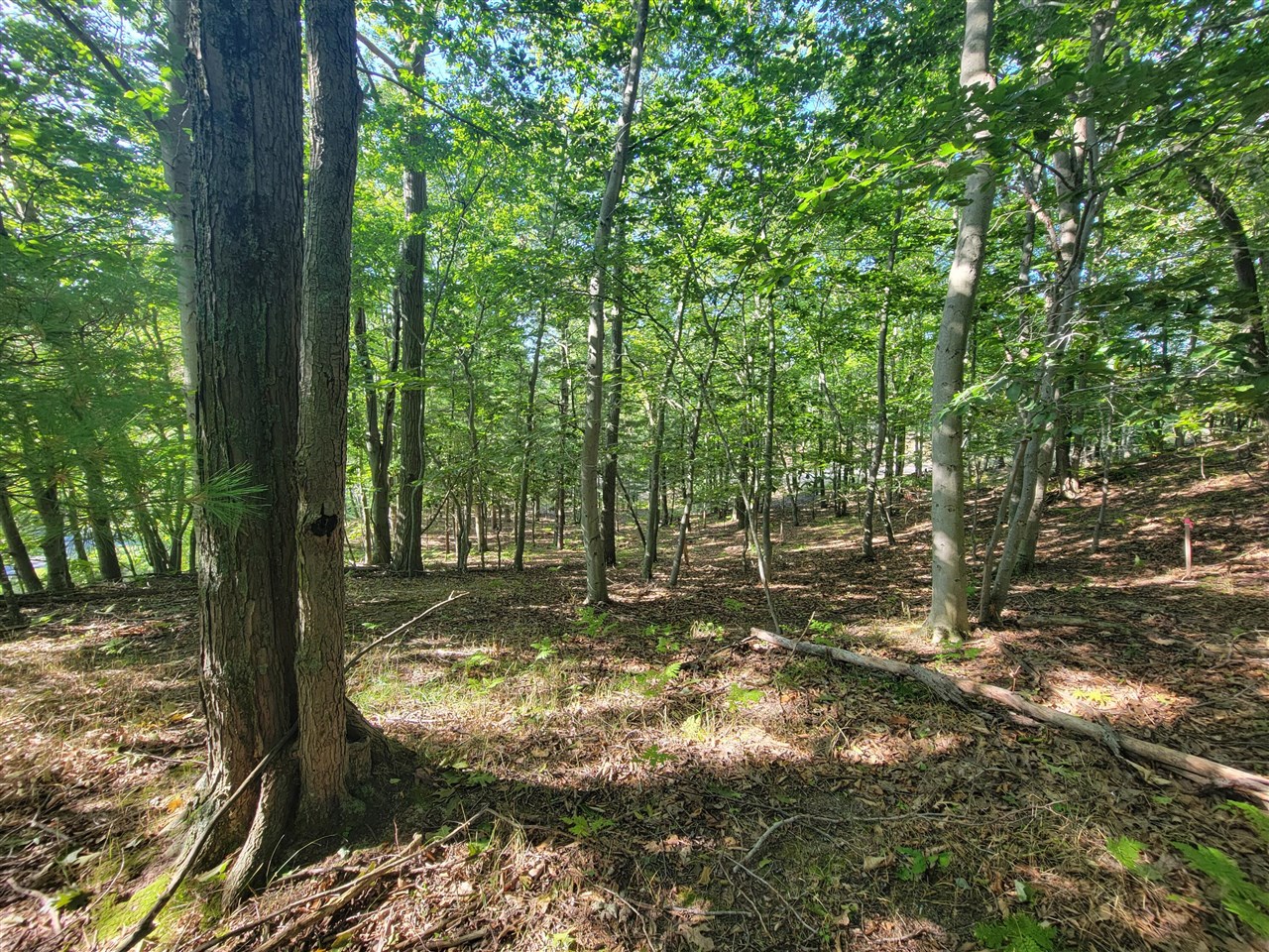 Lot 8 Lakeshore Road Property Photo 17