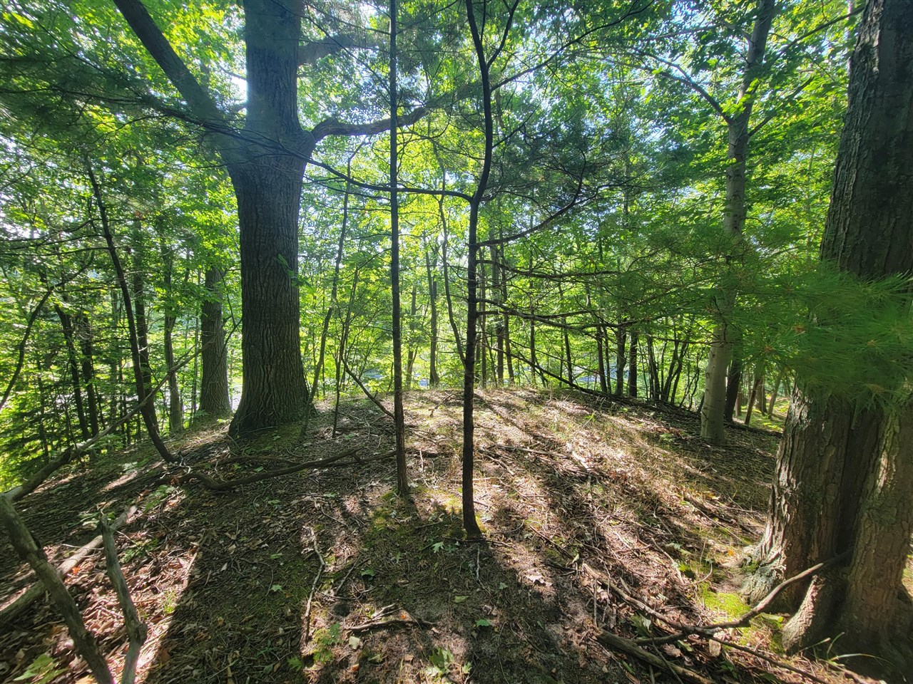 Lot 8 Lakeshore Road Property Photo 18