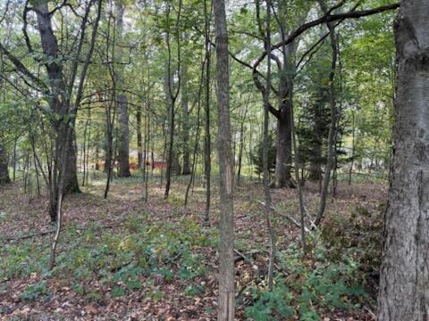129 Midway Street Property Photo 6