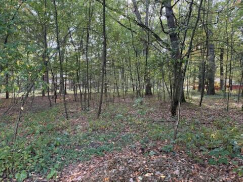 129 Midway Street Property Photo 7