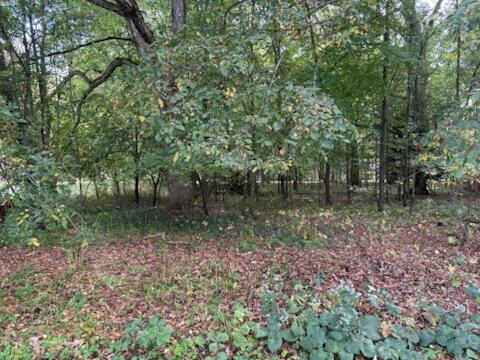 129 Midway Street Property Photo 9