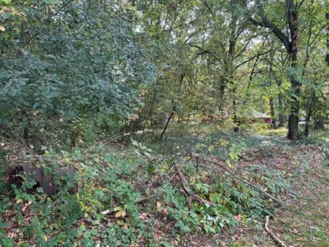 129 Midway Street Property Photo 10