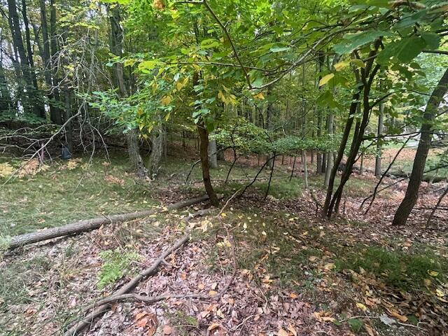 11269 Apache Wells Court Property Photo 1