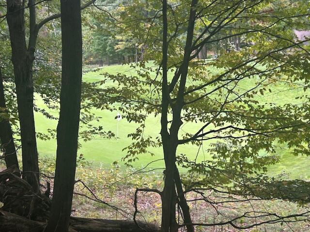11269 Apache Wells Court Property Photo 2