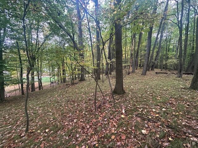 11269 Apache Wells Court Property Photo 3