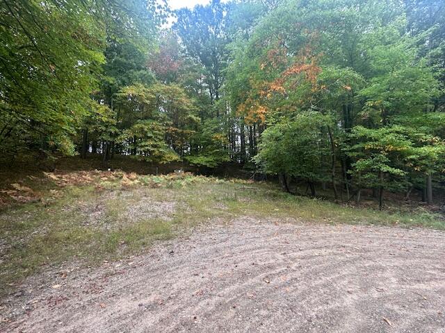 11269 Apache Wells Court Property Photo 5