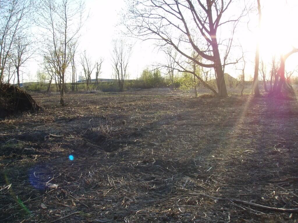 1794 Lakeshore Drive Property Photo 22