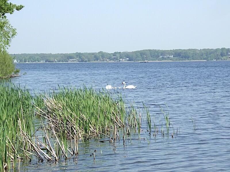 1794 Lakeshore Drive Property Photo 23