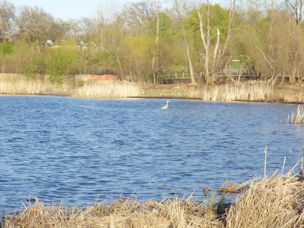 1794 Lakeshore Drive Property Photo 25