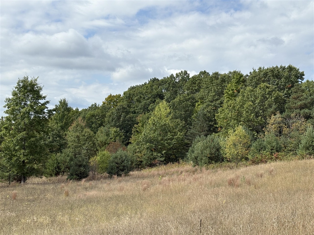 7267 S Snyder Road Property Photo 2