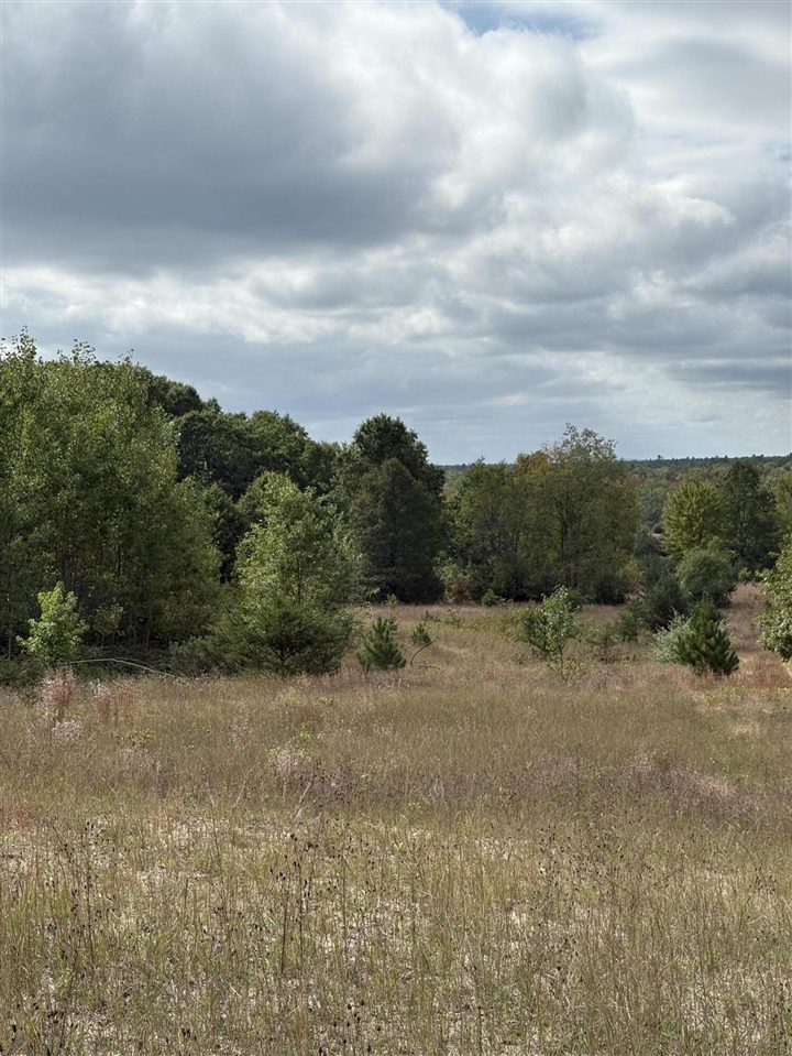 7267 S Snyder Road Property Photo 3
