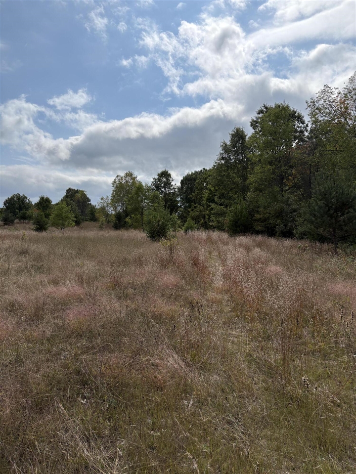 7267 S Snyder Road Property Photo 4