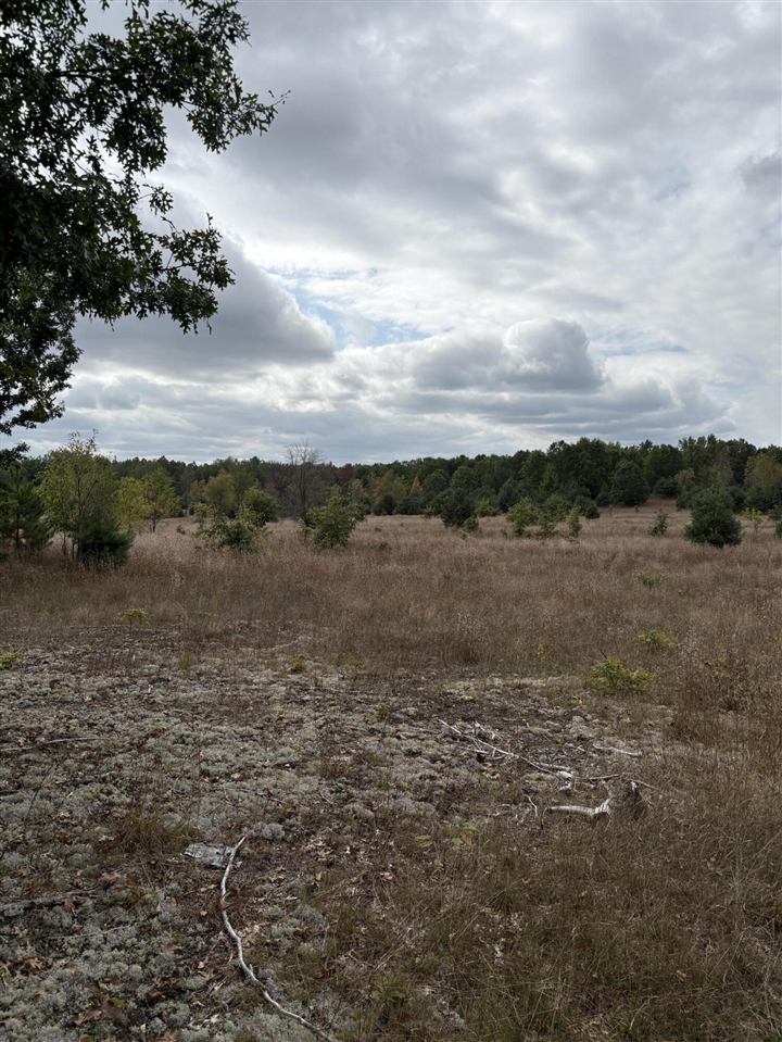 7267 S Snyder Road Property Photo 5