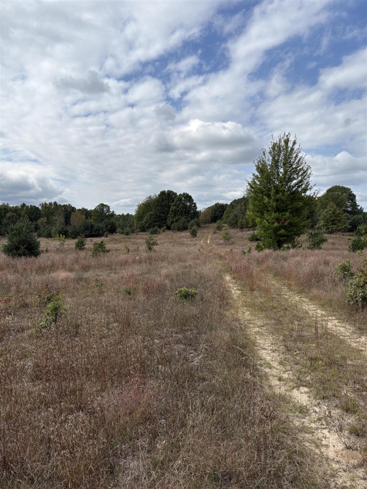 7267 S Snyder Road Property Photo 6