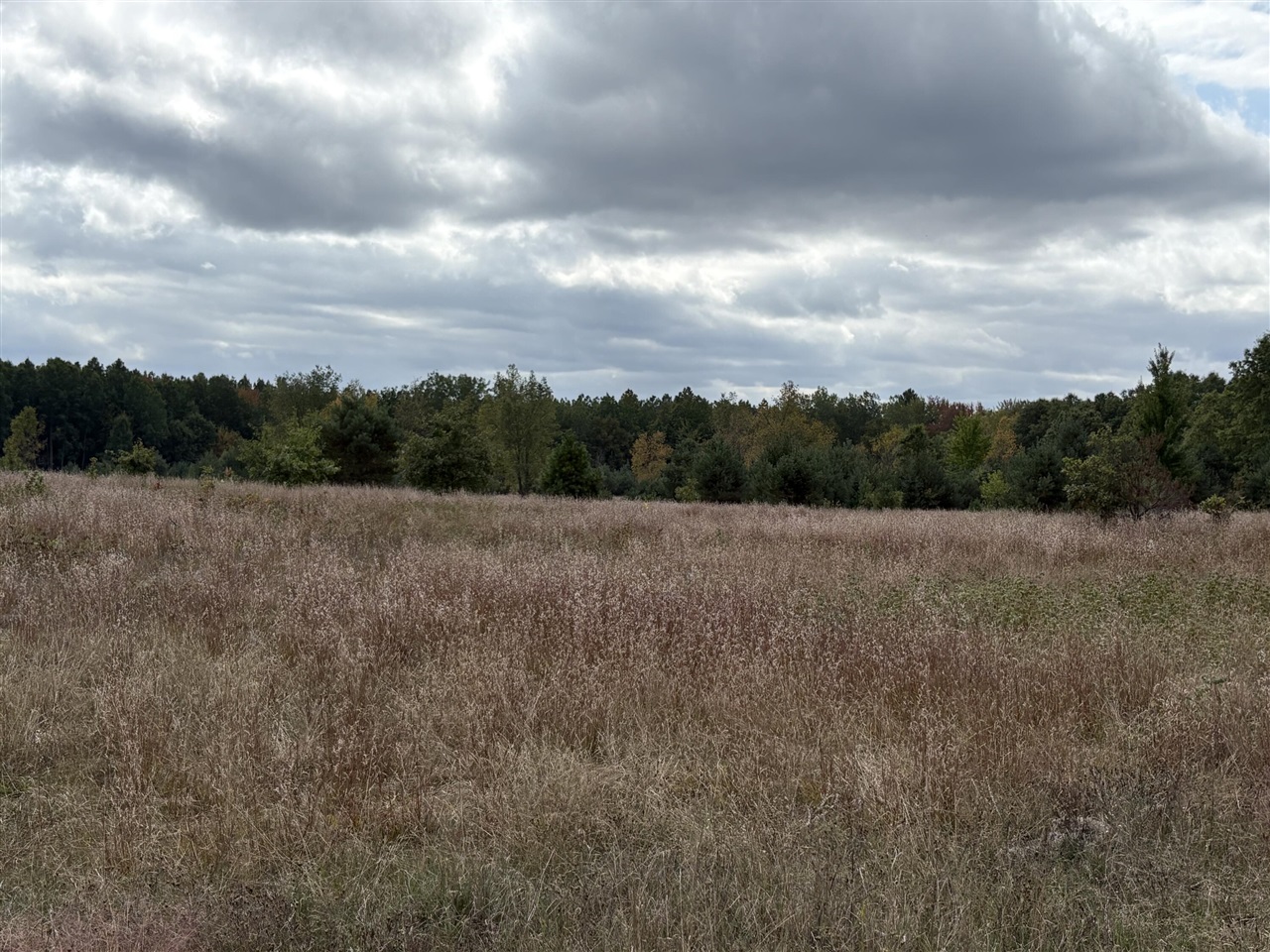 7267 S Snyder Road Property Photo 7