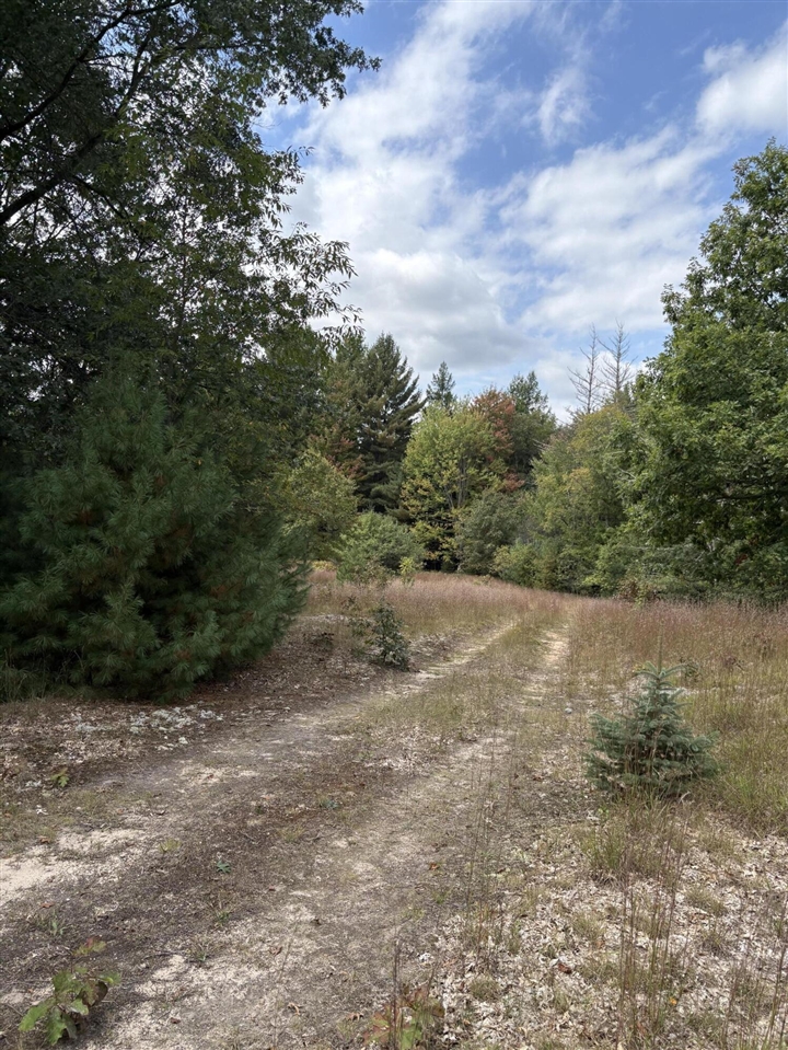 7267 S Snyder Road Property Photo 8
