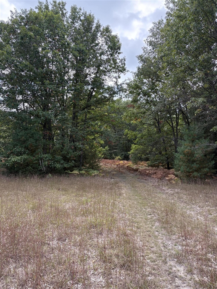 7267 S Snyder Road Property Photo 10
