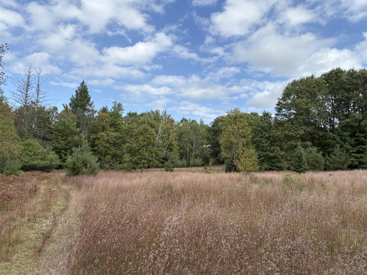 7267 S Snyder Road Property Photo 11