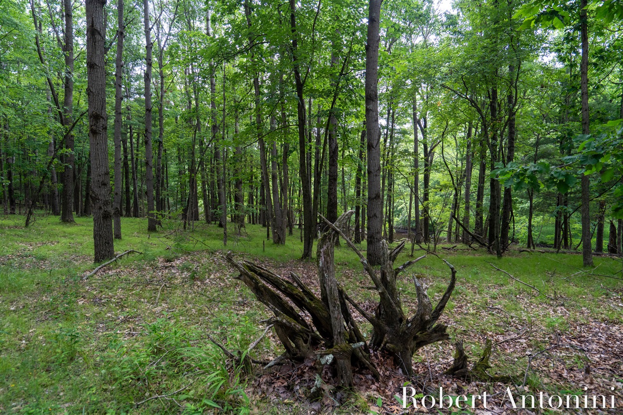 4751 S Johnson Road Property Photo 12